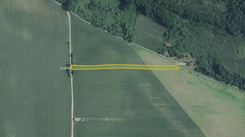 Prodej pole, Břeclav, 9807 m2