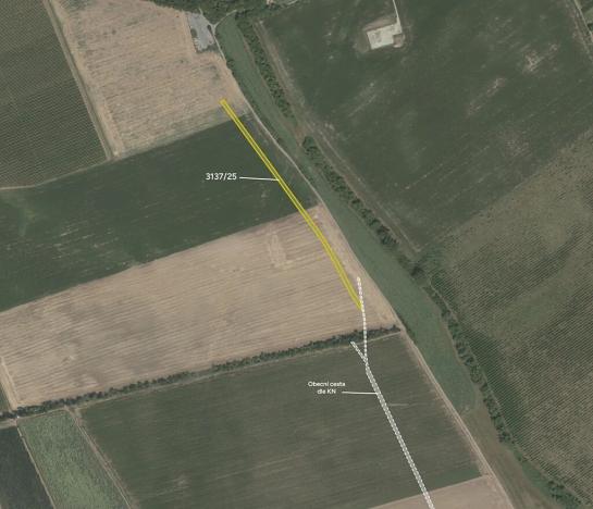 Prodej pole, Prušánky, 4206 m2