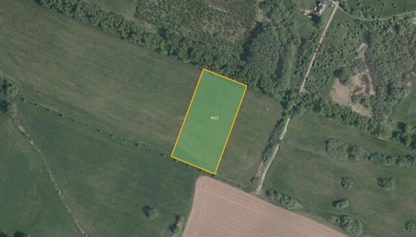 Prodej louky, Dvůr Králové nad Labem, 10323 m2