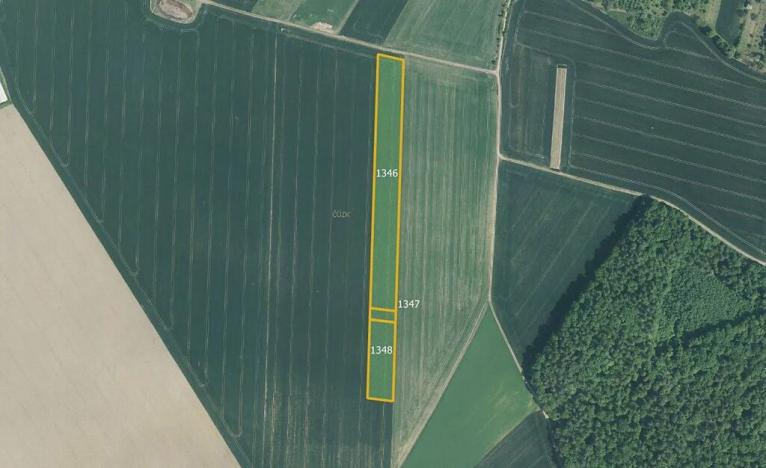 Prodej pole, Počenice-Tetětice, 37733 m2