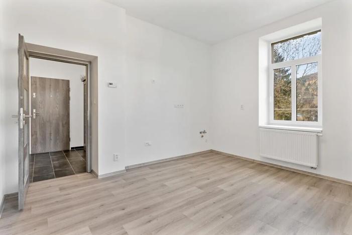 Prodej bytu 1+kk, Tanvald, Údolí Kamenice, 93 m2