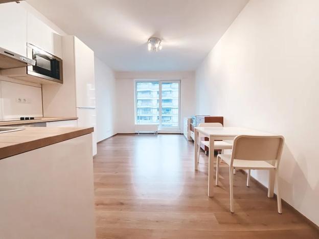 Pronájem bytu 1+kk, Praha - Malešice, Nad úžlabinou, 37 m2