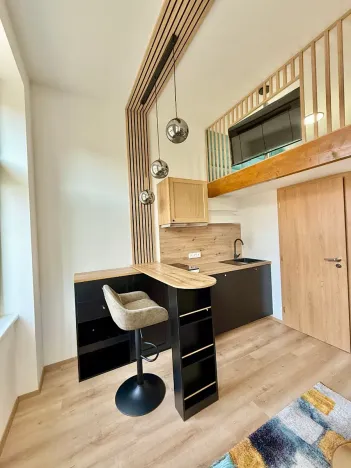 Pronájem bytu 1+kk, Praha - Nové Město, Sokolská, 17 m2