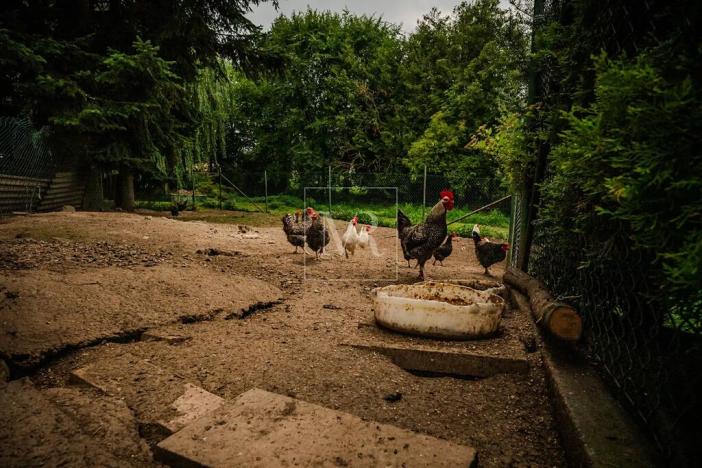 Prodej vícegeneračního domu, Sulice, Hlavní, 370 m2