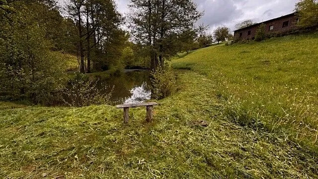 Prodej pole, Levínská Olešnice, 8891 m2