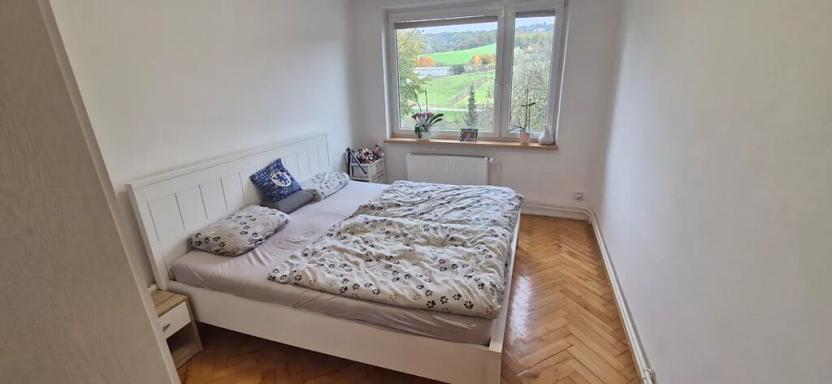 Pronájem bytu 3+1, Pozlovice, Hlavní, 75 m2