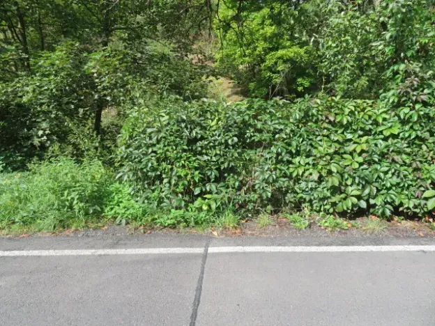 Dražba zahrady, Šemnice, 472 m2