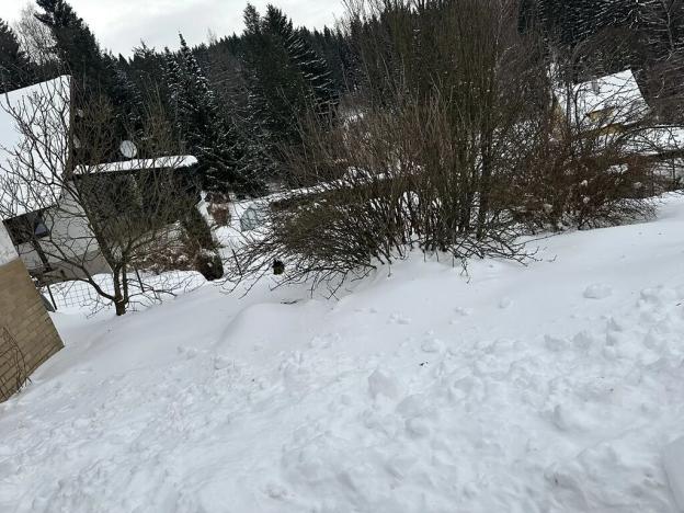 Dražba rodinného domu, Jiřetín pod Bukovou, 200 m2