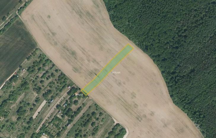 Prodej pole, Lovčice, 5984 m2