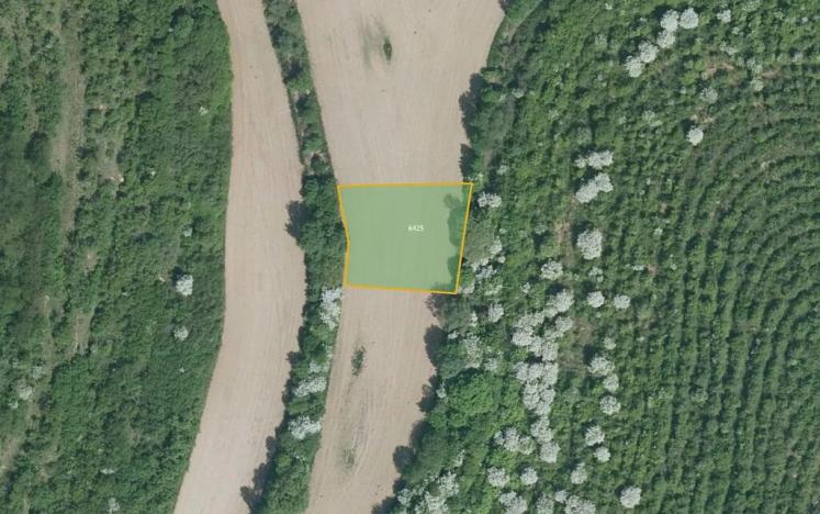 Prodej pole, Lovčice, 5984 m2