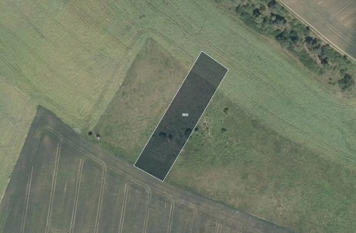 Prodej pole, Plumlov, 14994 m2