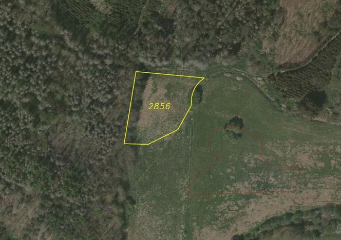 Prodej pozemku, Dešná - Dančovice, 4036 m2