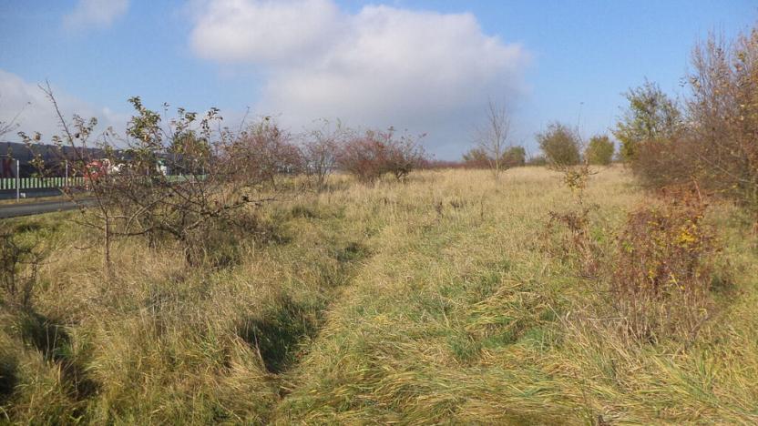 Prodej zahrady, Otrokovice, 503 m2