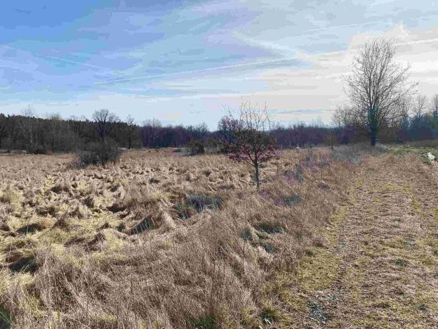 Prodej pozemku, Františkovy Lázně, 2500 m2