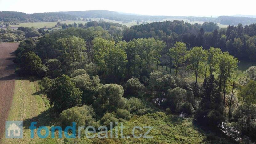 Prodej pozemku, Dolní Dvořiště - Rychnov nad Malší, 24285 m2