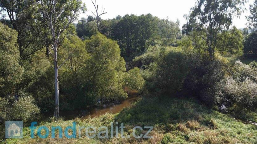 Prodej pozemku, Dolní Dvořiště - Rychnov nad Malší, 24285 m2