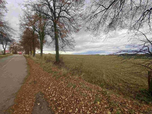 Prodej komerčního pozemku, Strážkovice, 4604 m2