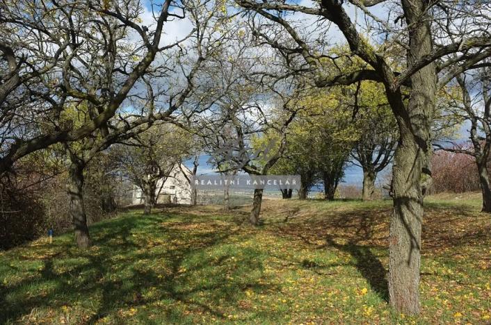 Prodej zahrady, Židlochovice, 2384 m2