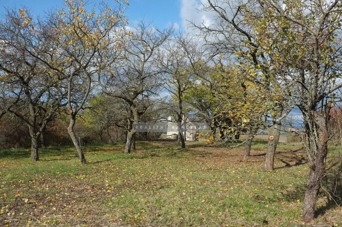 Prodej zahrady, Židlochovice, 2384 m2