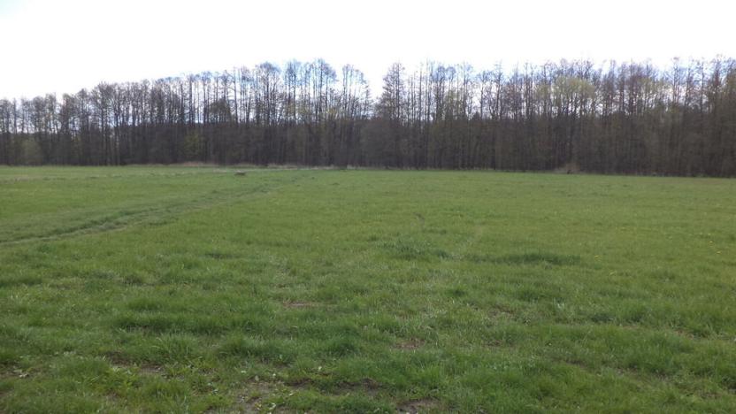 Prodej pole, Tachov, 23048 m2