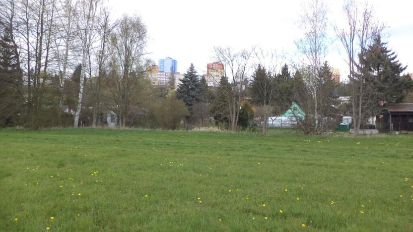 Prodej pole, Tachov, 23048 m2