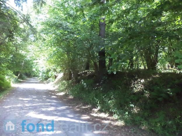 Prodej pozemku, Kaplice - Blansko, 19480 m2