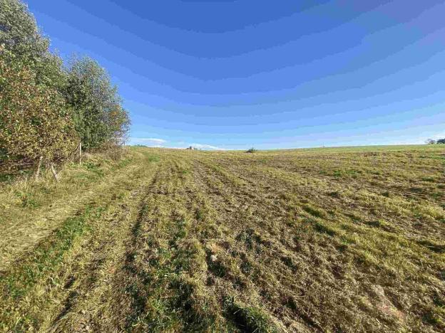 Prodej pole, Stráž nad Nisou - Svárov, 236 m2