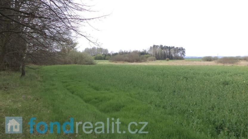 Prodej pole, Žíšov, 3467 m2