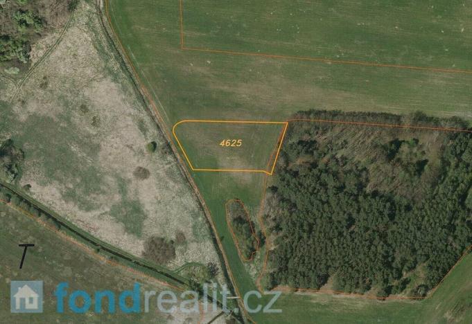 Prodej pole, Žíšov, 3467 m2