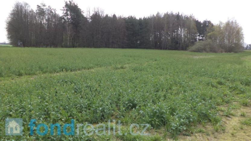 Prodej pole, Žíšov, 3467 m2