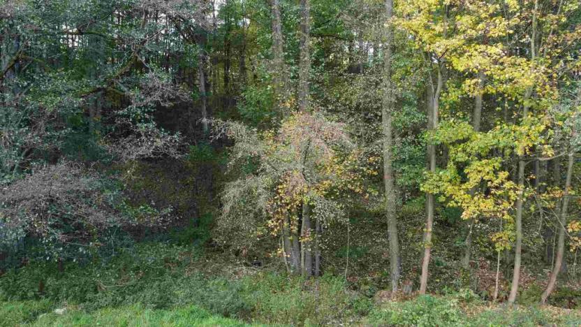 Prodej pozemku, Hrádek nad Nisou - Dolní Sedlo, 543 m2