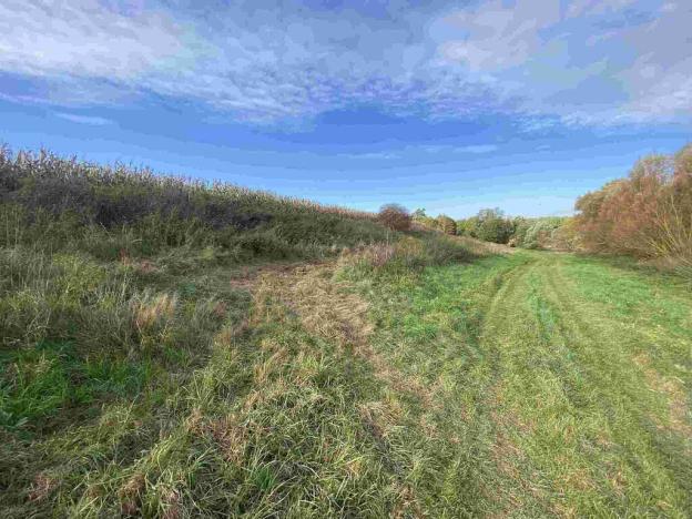 Prodej pozemku, Svijany, 4905 m2