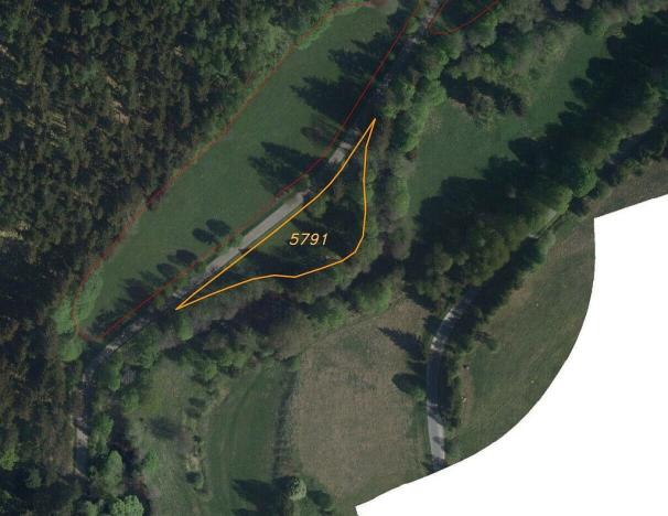 Prodej pozemku, Bartošovice v Orlických horách, 2009 m2