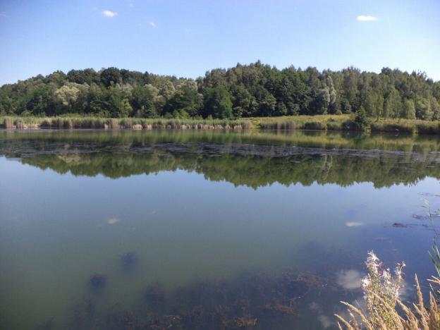 Prodej pozemku, Stonava, 1274 m2