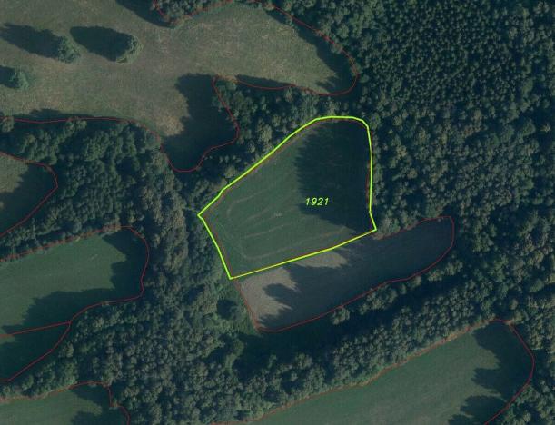 Prodej pozemku, Sobotín, 10593 m2