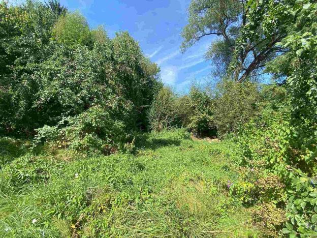 Prodej pozemku, Horní Stropnice - Bedřichov, 2842 m2