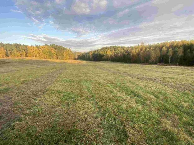 Prodej pole, Cvikov - Trávník, 16894 m2