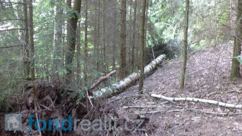 Prodej pozemku, Dolní Dobrouč, 4634 m2