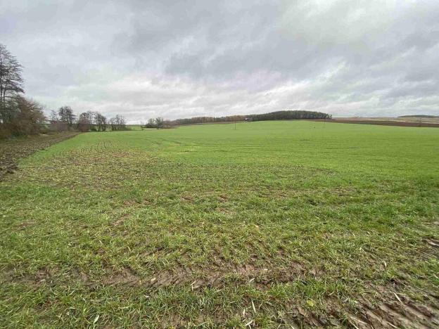 Prodej pole, Oráčov, 19275 m2