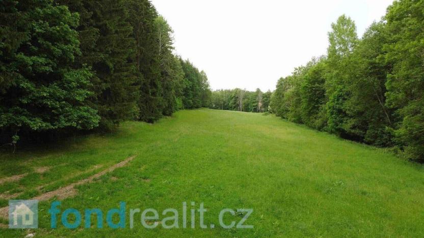 Prodej pole, Chotěvice, 8782 m2