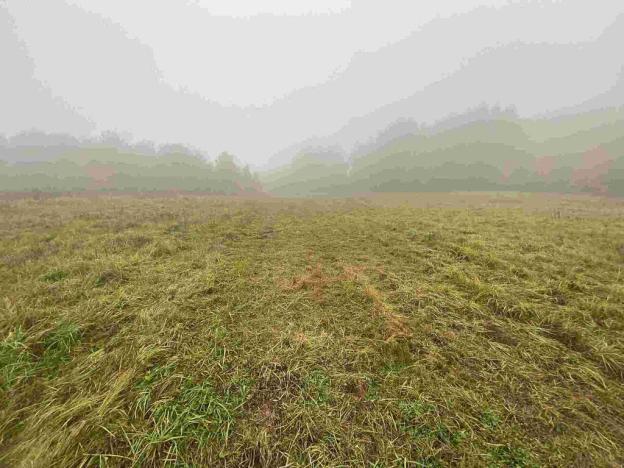 Prodej pole, Verneřice, 22839 m2