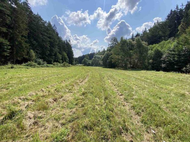 Prodej pole, Kaplice - Blansko, 843 m2