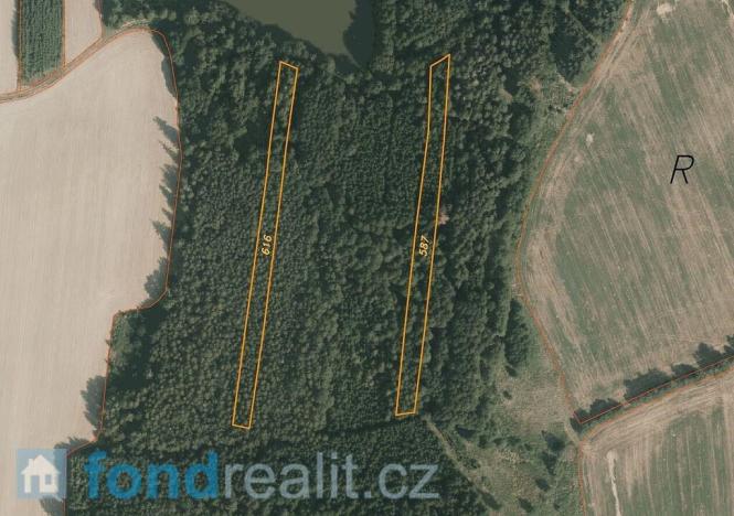 Prodej lesa, Myslkovice, 9683 m2