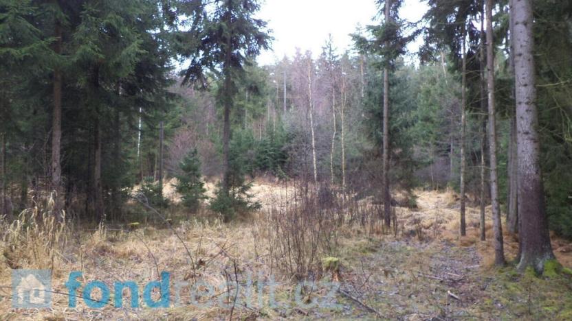 Prodej lesa, Myslkovice, 9683 m2