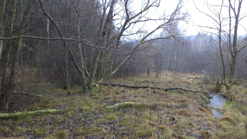 Prodej pozemku, Vyšší Brod, 919 m2