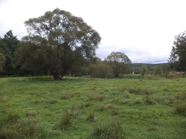 Prodej pozemku, Mirotice - Lučkovice, 177 m2