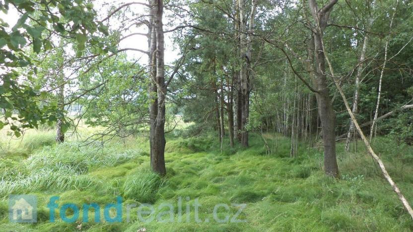 Prodej pozemku, Hranice, 3147 m2