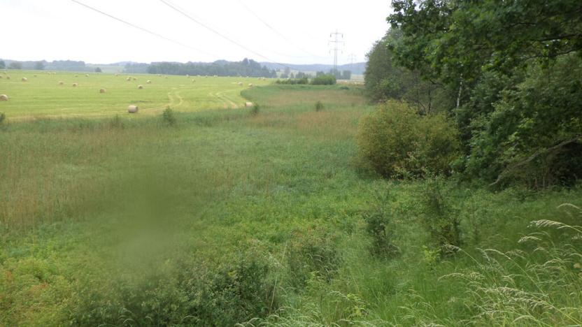 Prodej pole, Jablonné v Podještědí, 4685 m2