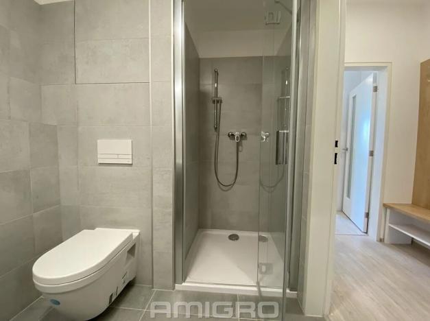 Pronájem bytu 1+kk, Brno, Reissigova, 32 m2