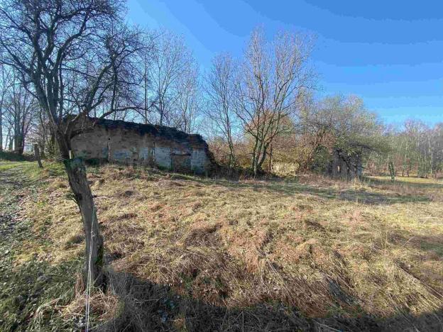 Prodej pozemku, Dolní Dvořiště - Všeměřice, 11107 m2